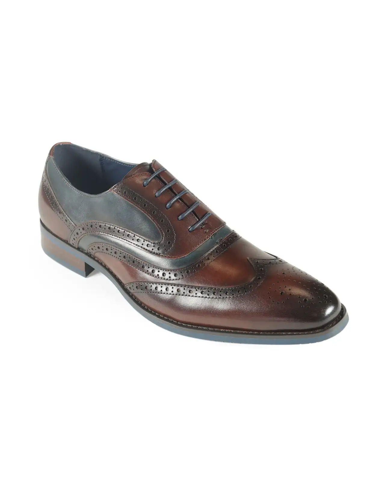 Brogue Azor La Mode Webster Brown Navy £135.00