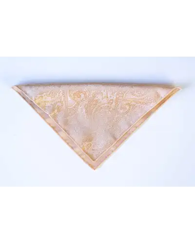 Tie Gift Sets Victory and Innsbruck Champagne Gold Paisley Tie Set £50.00