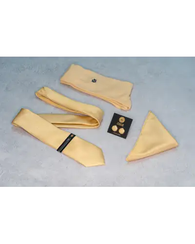 Tie Gift Sets Victory and Innsbruck Champagne Gold Textured Tie Set £50.00