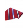 Pocket Square Soprano Ties Soprano Red With Navy White And Blue Striped Pocket Square £15.00