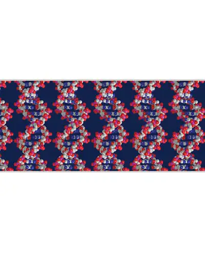 Scarves Fox and Chave Double Helix Silk Habotai Scarf £42.00