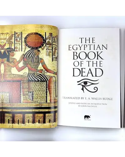 Books Fox and Chave The Egyptian Book Of The Dead £10.00