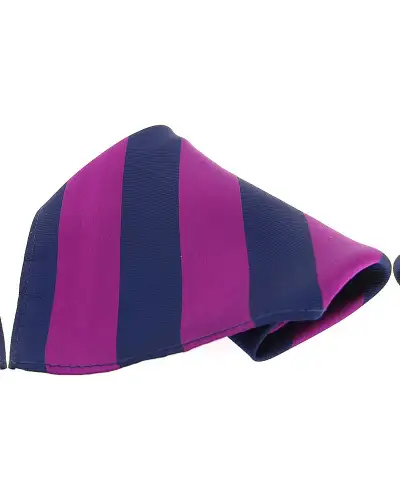 Pocket Square Soprano Ties Soprano Purple And Navy Bold Stripe Mens Pocket Square £15.00