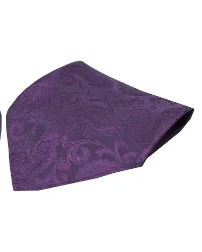 Pocket Square Soprano Ties Soprano Purple Paisley Silk Pocket Square £9.00