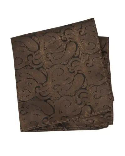 Soprano Brown Paisley Silk Pocket Hanky | Soprano Ties ST HANKWS7204 Silk Hankie
