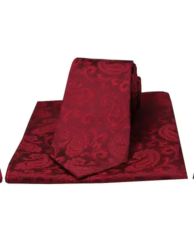 Paisley Ties Soprano Ties Soprano Wine Paisley Woven Silk Tie And Pocket Square £34.00