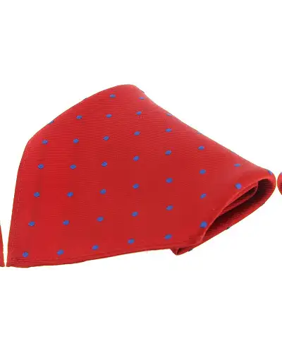 Pocket Square Soprano Ties Soprano Red And Blue Polka Dots Mens Silk Pocket Square £9.00