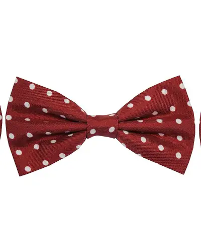 Pre-Tied Bow Ties Soprano Ties Soprano Wine And White Polka Dot Silk Pre Tied Bow Tie £9.00