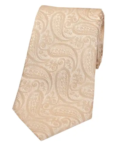 Paisley Ties Soprano Ties Soprano Beige Classic Paisley Silk Tie £15.00