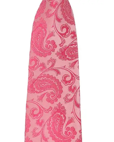 Paisley Ties Soprano Ties Soprano Fuchsia Paisley Silk Tie £16.00