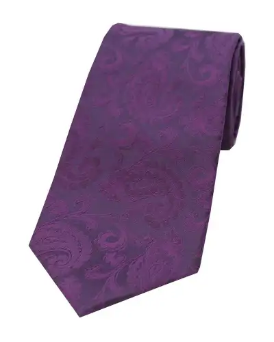 Paisley Ties Soprano Ties Soprano Purple Paisley Silk Tie £24.00