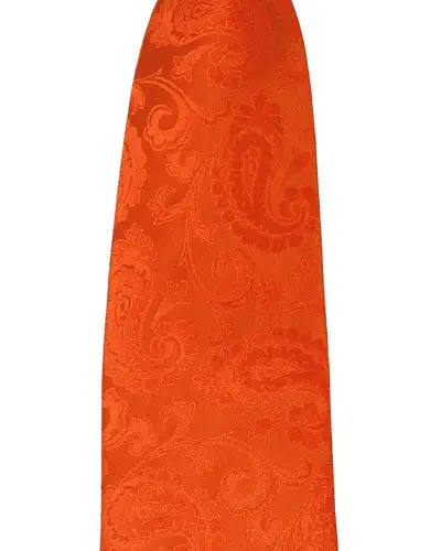 Paisley Ties Soprano Ties Soprano Orange Paisley Woven Silk Tie £24.00