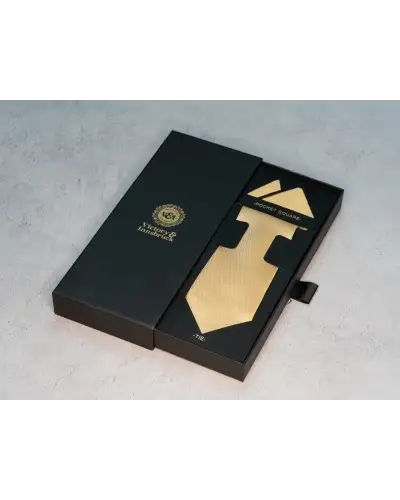 Ties Victory and Innsbruck BoyS Champange Gold Textured Tie and Pocket Square £31.00