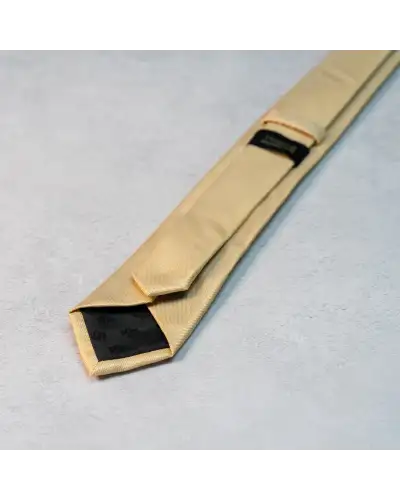 Ties Victory and Innsbruck BoyS Champange Gold Textured Tie and Pocket Square £31.00