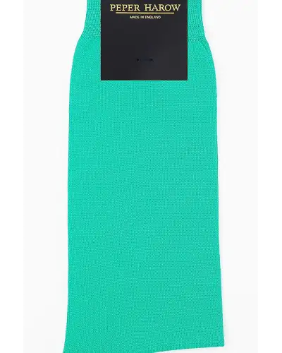 Men PEPER HAROW Classic Mens Socks - Turquoise £16.00
