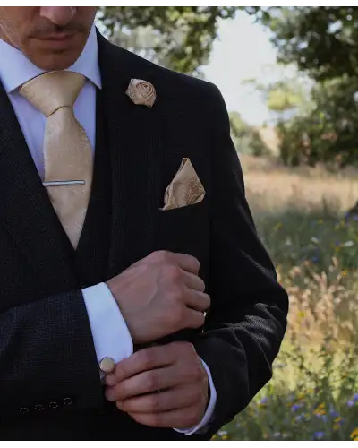 Tie Gift Sets Victory and Innsbruck Champagne Gold Paisley Tie Set £45.00
