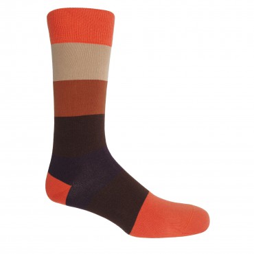 Men PEPER HAROW Block Stripe Mens Socks - Autumn £15.00